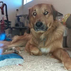 Meet your Posher, Tatyonia